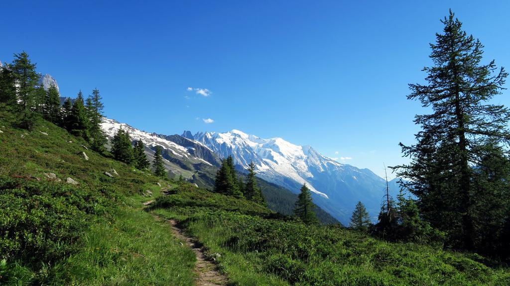 Le Dahu Hotel Chamonix Bagian luar foto