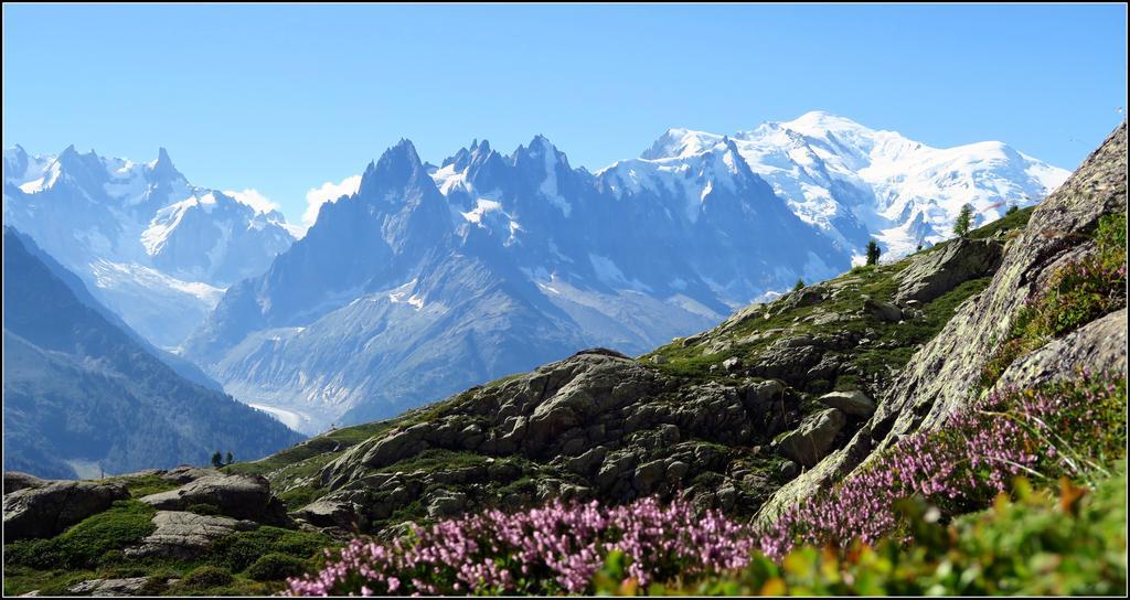 Le Dahu Hotel Chamonix Bagian luar foto